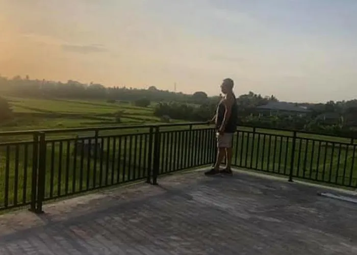 Ubi Ungu *